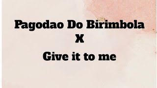 PAGODAO DO BIRIMBOLA X GIVE IT TO ME  TIKTOK COMPILATION [upl. by Kirven]