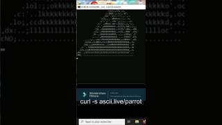 Cmd tricks and hacks windows 10 cmd commands prompt parrot animation hack cmd command win cm [upl. by Madelyn]