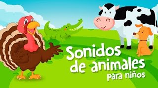 SONIDOS DE ANIMALES PARA NIÑOS DE 1 A 2 AÑOS  NUEVO [upl. by Cullin]