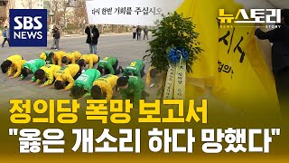 0석 정의당 quot우리는 이래서 망했다quot 뉴스토리  SBS [upl. by Akeit974]