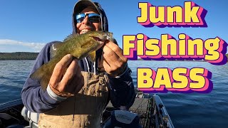 I went JUNK Fishing The BEST Catch for Cold Water BASS [upl. by Enailuj]