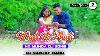 Mute Re Phuli New Ho Munda Dj Song 2024 Dj Sanjay Babu Buruikuti New Ho Munda Video Song 2024 Ho Dj [upl. by Jourdain]