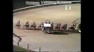 Moonee Valley trots 1996 [upl. by Namyw]