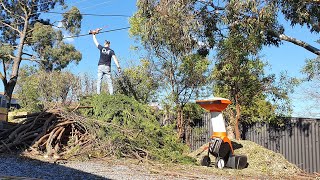 STIHL GHE 355 chipper  shreds by a thousand of cuts [upl. by Gibbie]