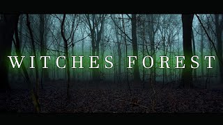 THE WITCHES FOREST  Full Movie [upl. by Gottfried]