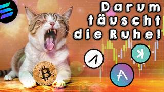 Altcoins Schlechte Stimmung täuscht Krasse Daten krasse Chancen krypto sol aave kas [upl. by Ayalahs542]