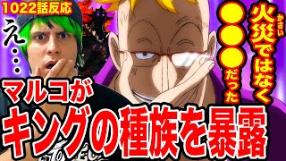 【最新話ワンピース1022話初見読み】キングの種族をマルコが衝撃暴露！火災のキングの正式名称判明！ゾロがついに…！四皇と戦闘中のキッドに異変ネコマムシの復讐【ワンピースネタバレ】【ワンピース考察】 [upl. by Yaral468]