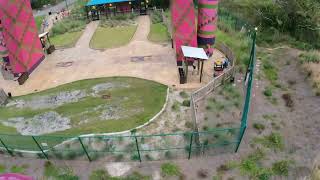 Serengeti Flyer POV at Busch Gardens Tampa [upl. by Eikcim]