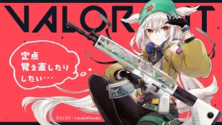 【VALORANT】Act切り替わりですか【初見さん歓迎】 [upl. by Eenar]