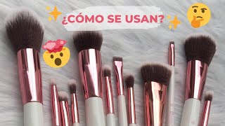 Para que sirve cada brocha de maquillaje ¿realmente necesitas un kit [upl. by Anelys]