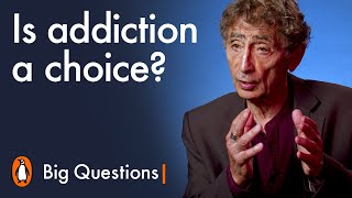 Is addiction a choice  Big Questions with Gabor Maté [upl. by Introk]