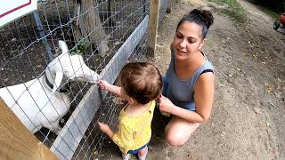 Allaire Community Farm Wall Township New Jersey [upl. by Rim53]