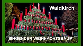 Singender Weihnachtsbaum in Waldkirch [upl. by Judah312]