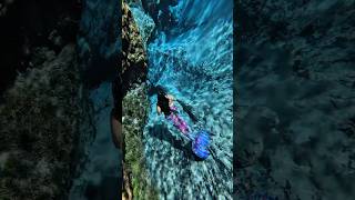 Mermaid swims for you mermaidlife mermaidswimming magictail mermaiding [upl. by Naryb854]