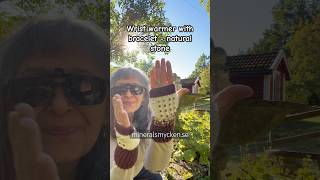 Wrist warmer with bracelet  natural stone mineralsmycken energyhealing [upl. by Eima]