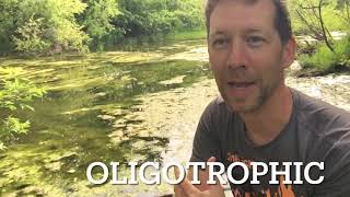 Eutrophic vs Oligotrophic Aquatic Ecosystems The Eutrophication of Our Creek [upl. by Zsamot]