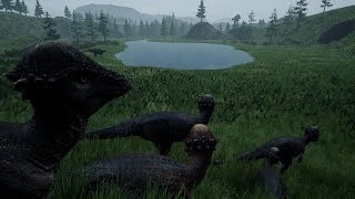 The ISLE Realism  PACHY HERD [upl. by Ecart389]