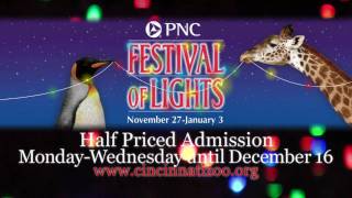 Festival of Lights PromoCincinnati Zoo [upl. by Elfreda991]