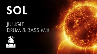 Sol  Jungle Drum amp Bass Mix [upl. by Rafael437]