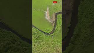 The Mystery Behind River Meanders facts shorts [upl. by Eudo]