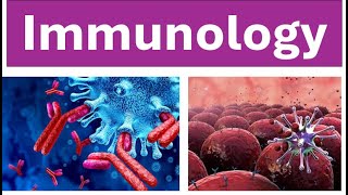 Immunology Made Easy  Immune System Overview immunology [upl. by Cochrane240]