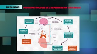 🔵Système Rénine Angiotensine Aldostérone physiopathologie de lHTA [upl. by Yanttirb]