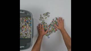 Wheres Waldo 1000pc Jigsaw puzzle Breakdown [upl. by Ungley]