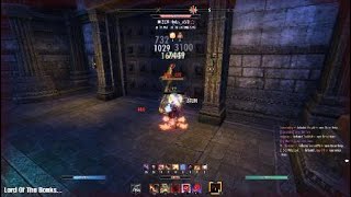 ESO PVP 1 Bar Nightblade Gank Lord Of The Bonks [upl. by Rodney]