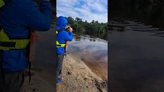 Hermoso ejemplar de Dorado a orillas del Río Riachuelo con su devolución como corresponde [upl. by Nairim]