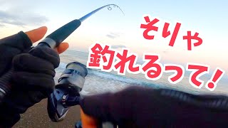 釣れて当然！すごい魚が釣れたとっておきの方法 [upl. by Gnen504]