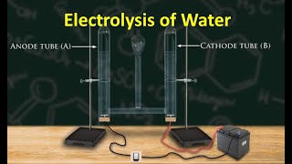 Electrolysis of Water [upl. by Eelrihs152]