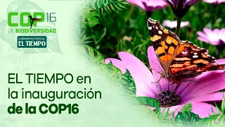 EL TIEMPO en la inauguración de la COP16  El Tiempo [upl. by Eldredge]