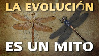 🔴 La Evolución es un MITO [upl. by Allets423]