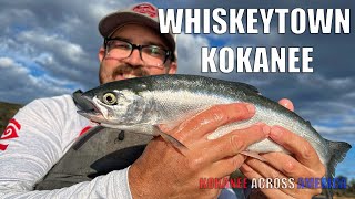 An Evening Kokanee Limit at Whiskeytown Reservoir Kokanee Across America [upl. by Gitlow]