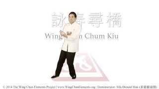 Wing Chun Chum Kiu 詠春尋橋 [upl. by Callean]