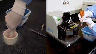 cryoPREP Dry Pulverization in Action [upl. by Kalina]