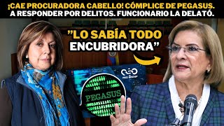 ¡Procuradora Cabello sería cómplice de Pegasus Busca ocultarlo FUNCIONARIO LA EXPUSO [upl. by Anazraf588]