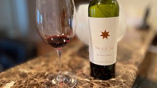 Clos De Los Siete 2017 Malbec Argentina Value Wine Review [upl. by Aihseyk]