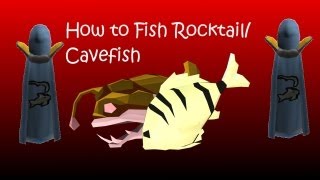 How to fish RocktailCavefish and a way to maximize xp [upl. by Moll]