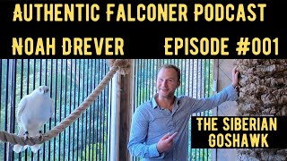 Authentic Falconer Podcast 001 Noah Drever Siberian Goshawk [upl. by Brookes]