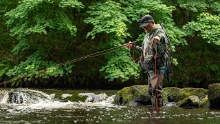 250 Fly Fishing Moments On The River  Nature  Relaxing [upl. by Ameg721]