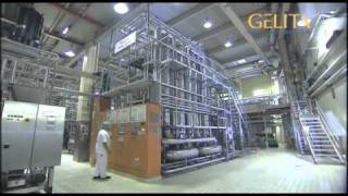 GELITA  How is Gelatine made [upl. by Kraul]