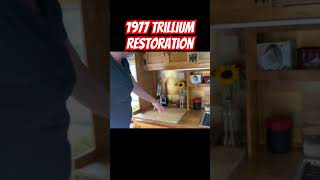 Vintage Fiberglass Trailer Restoration  1977 Trillium  OH WOW shorts [upl. by Malanie]