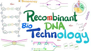 Recombinant DNA technology Biotechnology  Molecular Biology 🧬 amp Biochemistry [upl. by Annayd630]