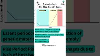 Bacteriophage One Step Growth Curve [upl. by Golanka]