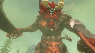 The Legend of Zelda BOTW nur mit LeunenWaffen durchspielen Folge 1 [upl. by Yardna407]