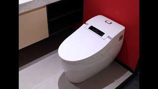 HK763 large Luxury Bathroom Smart Toilet Elegant Style Auto Electric One Piece Intelligent Toilet [upl. by Ury221]