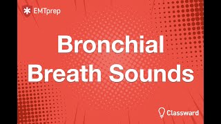 Bronchial Breath Sounds Animation  EMTprepcom [upl. by Flori]