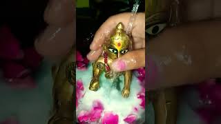 Laddu Gopal ka snan 🛀🛀👍🙏🏻🙏🏻 [upl. by Silvain]