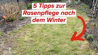 5 Tipps für die Rasenpflege nach dem Winter Das solltest du unbedingt beachten [upl. by Robins]